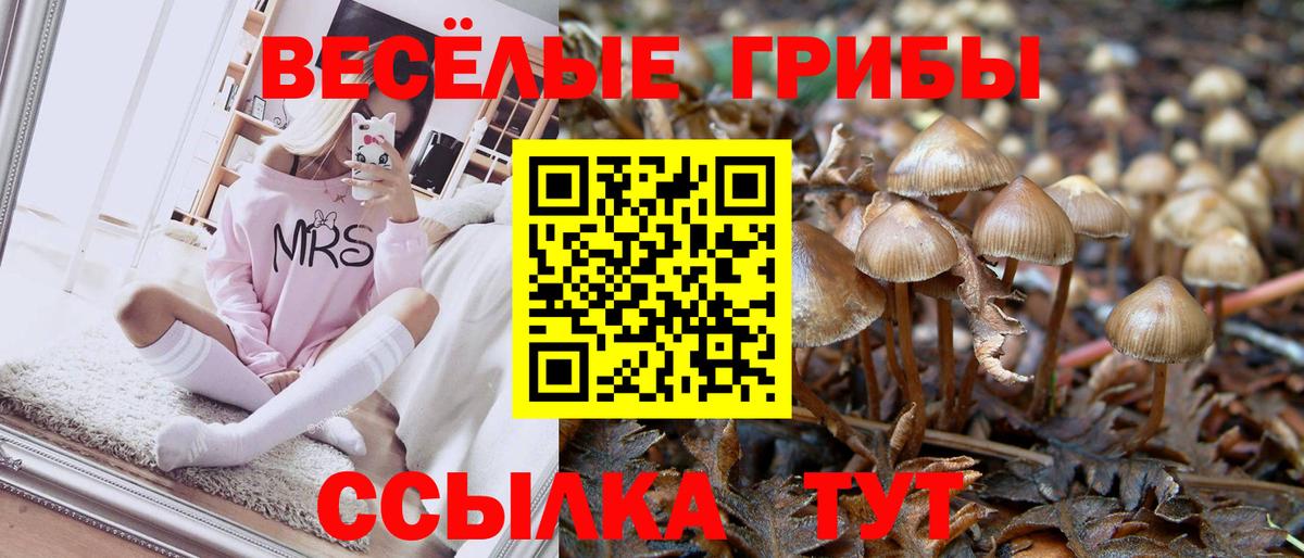Псилоцибиновые грибы мицелий Ярцево